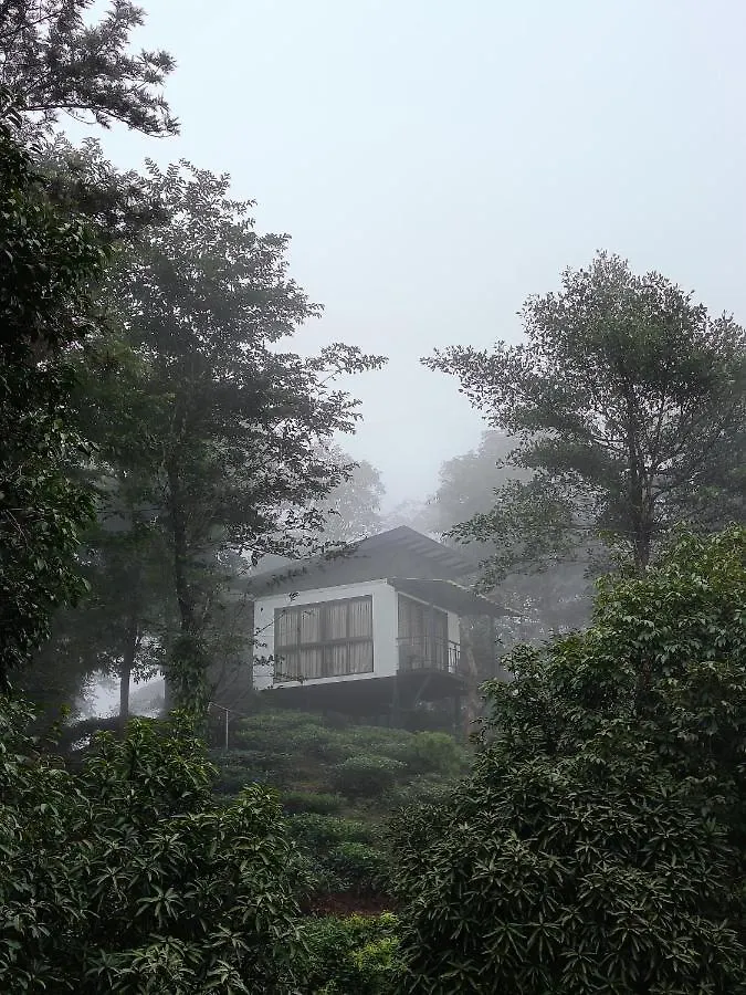 Θέρετρο Chateau Woods Kalpetta