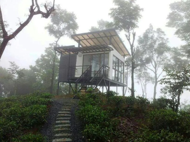 Chateau Woods Kalpetta 3*,