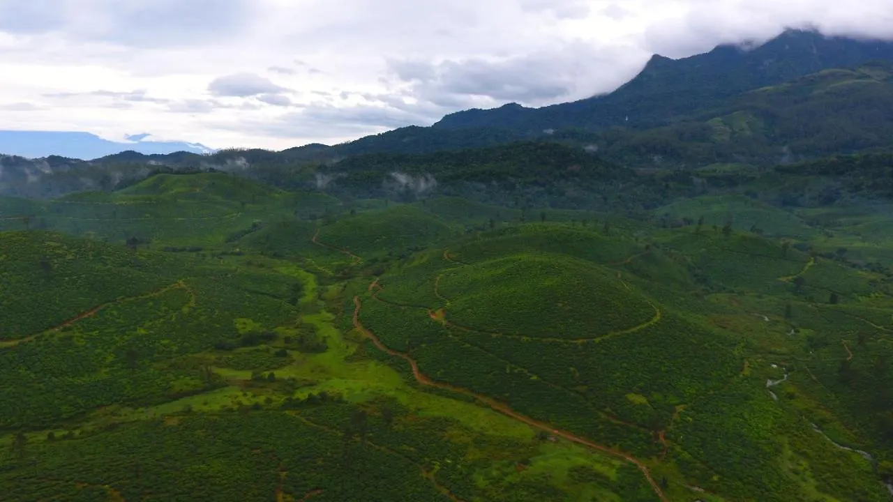 Chateau Woods Kalpetta Θέρετρο