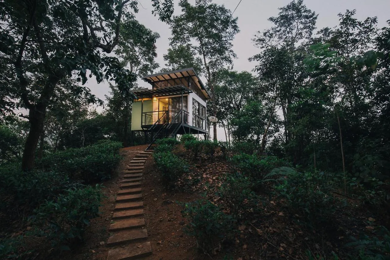 Chateau Woods Kalpetta